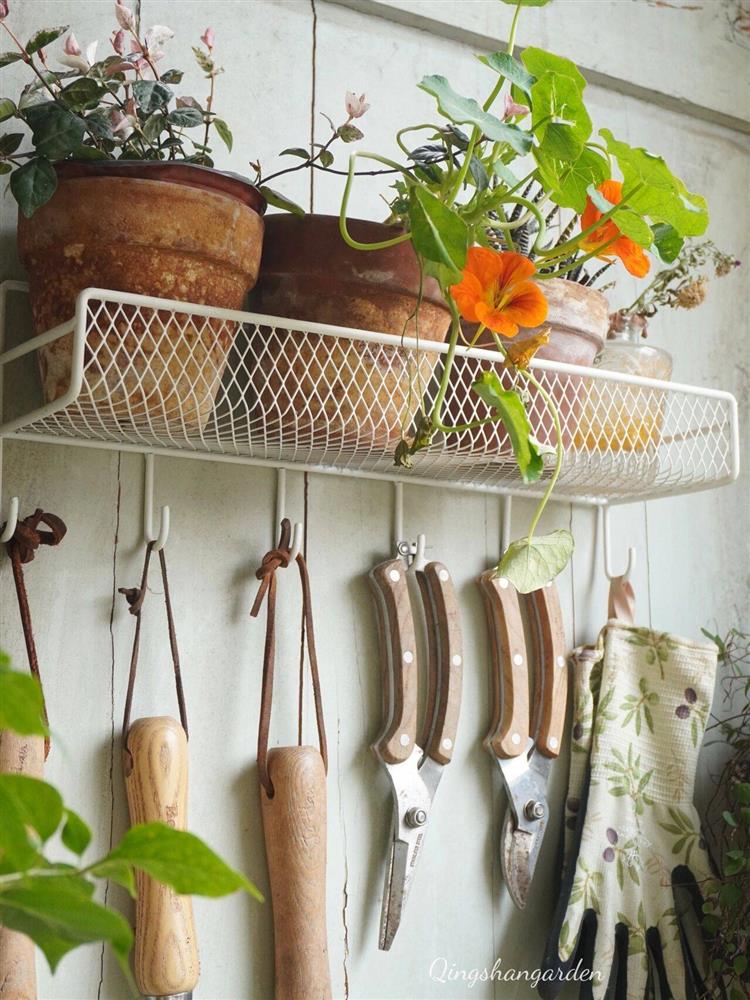 Mẹ đảm ở thành phố tận hưởng trọn vẹn thú vui trồng cây bên ngoài ban công nhà chỉ vỏn vẹn 4m²-3