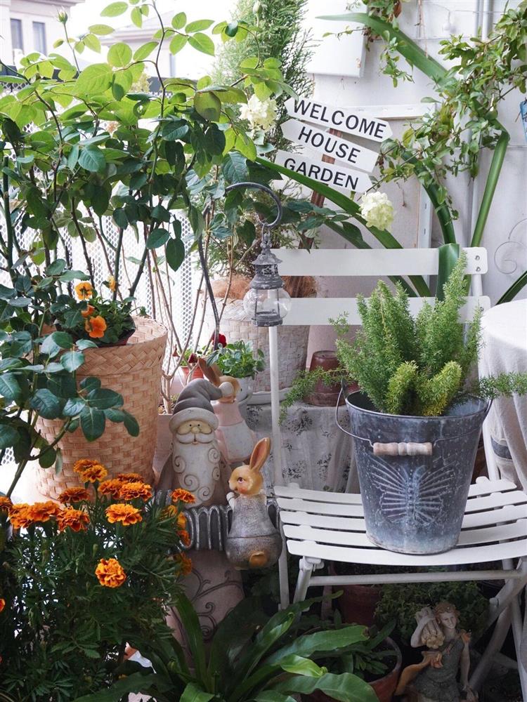 Mẹ đảm ở thành phố tận hưởng trọn vẹn thú vui trồng cây bên ngoài ban công nhà chỉ vỏn vẹn 4m²-7