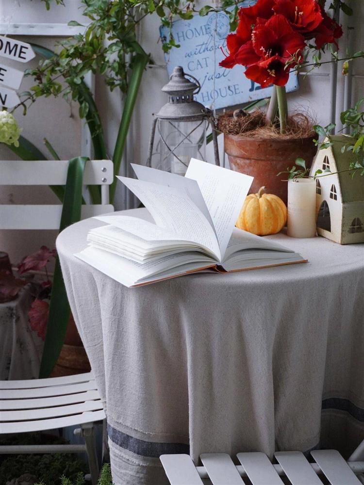 Mẹ đảm ở thành phố tận hưởng trọn vẹn thú vui trồng cây bên ngoài ban công nhà chỉ vỏn vẹn 4m²-17