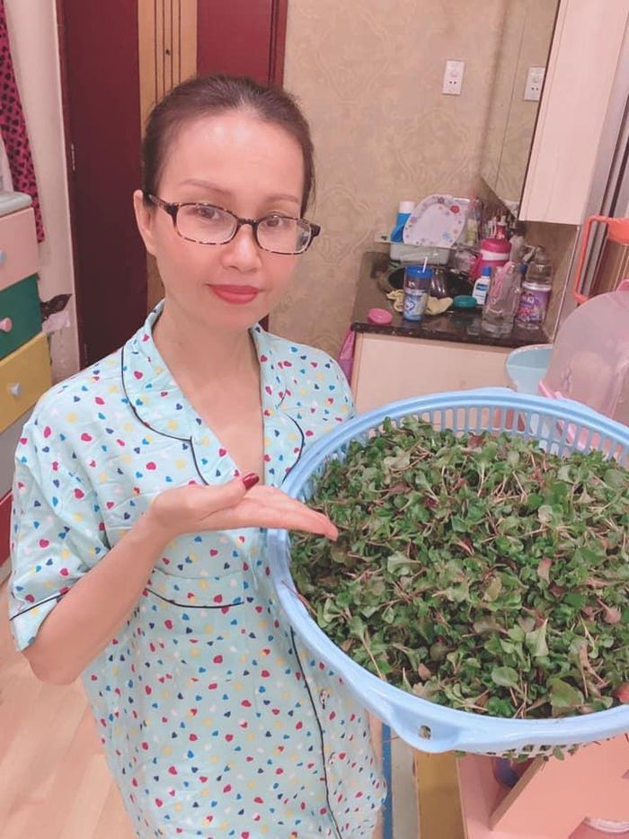 Cuộc sống kín tiếng bên trong biệt thự triệu đô của ca sĩ Cẩm Ly-5