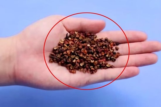 Dù nhà có tiền hay không thì cũng nhớ rắc hạt tiêu dưới gầm giường nhé, đó không phải là mê tín dị đoan, về nhà làm thử xem sao nhé!