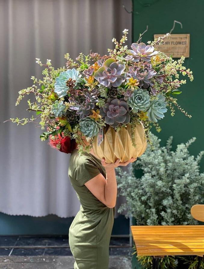 Nhổ sen đá cắm thành bình hoa khủng, giá tiền triệu vẫn hút khách-4