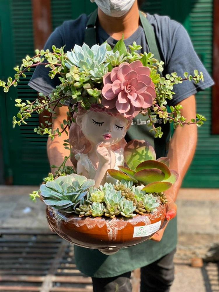 Nhổ sen đá cắm thành bình hoa khủng, giá tiền triệu vẫn hút khách-6