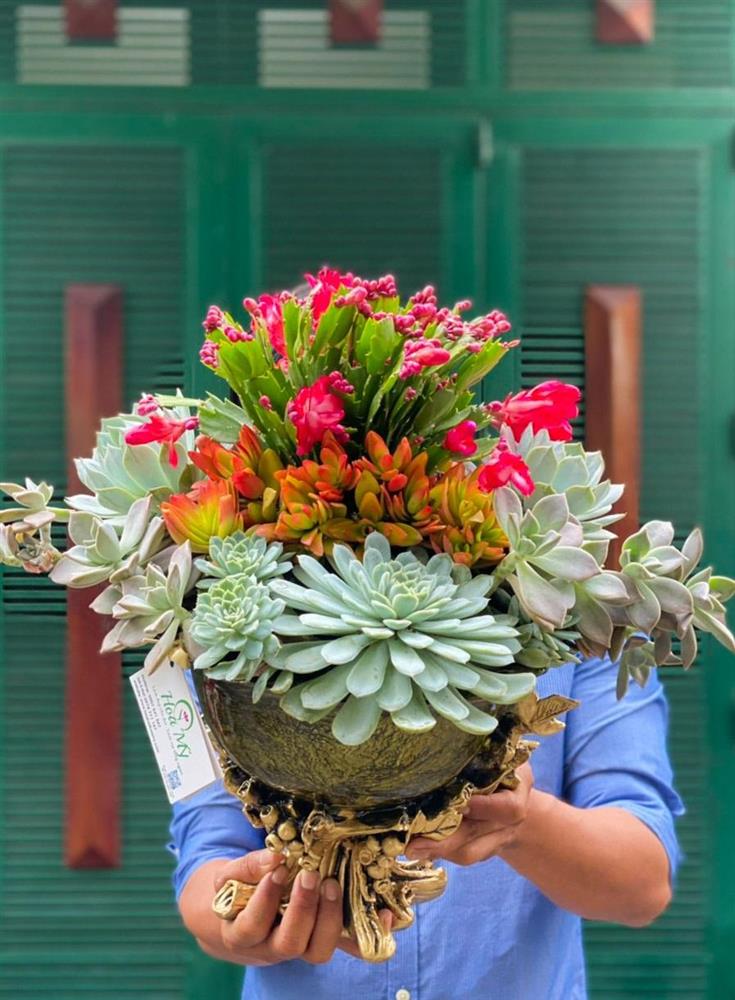 Nhổ sen đá cắm thành bình hoa khủng, giá tiền triệu vẫn hút khách-7