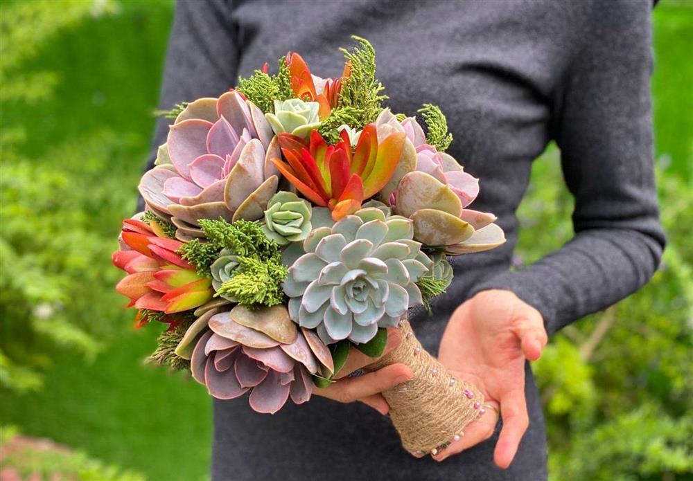 Nhổ sen đá cắm thành bình hoa khủng, giá tiền triệu vẫn hút khách-9