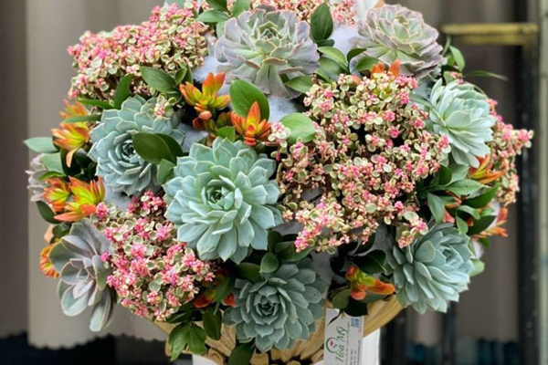 Hoa sen cuối mùa, chị em Hà thành tranh thủ mua về cắm chơi-6