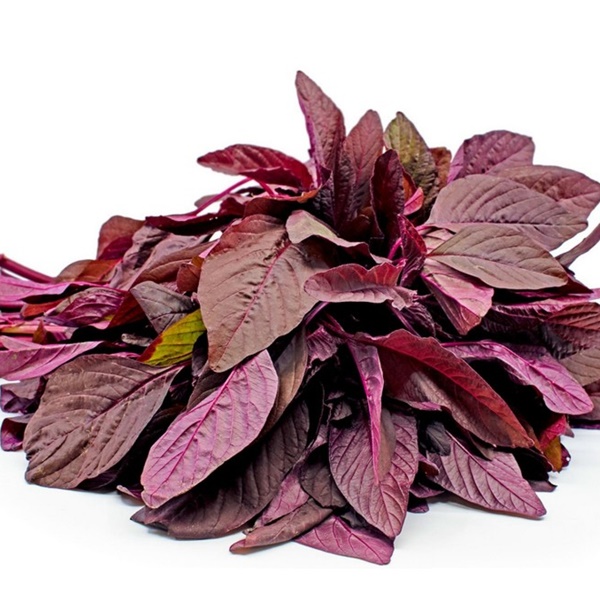 Người đái tháo đường có nên ăn rau dền không?-1