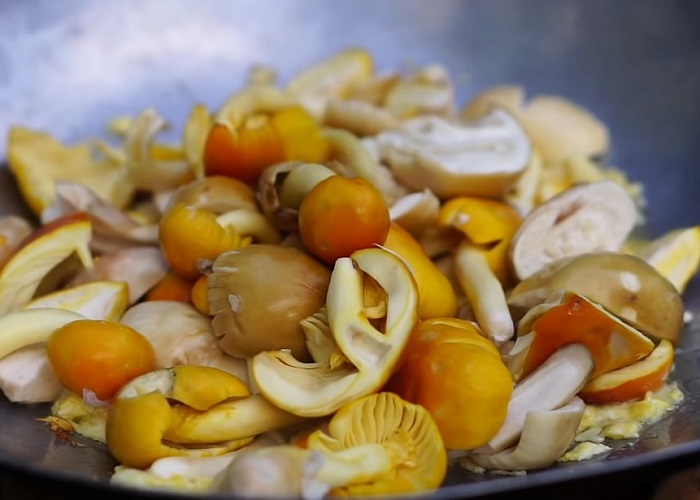 Nhìn hệt quả trứng gà, loại nấm này đang được lùng mua với giá nửa triệu đồng/kg-7