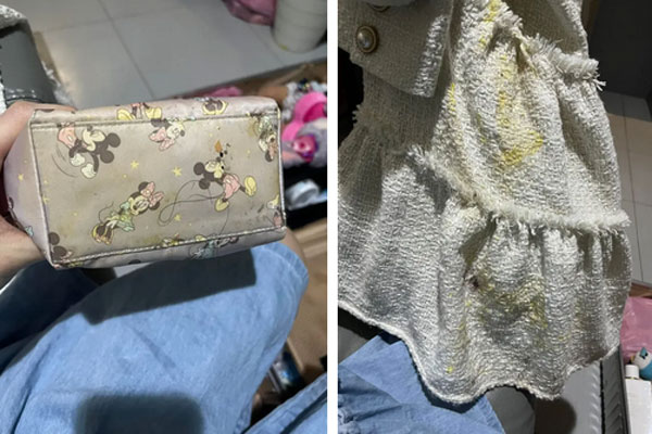 Choáng váng vì trò trả thù từ người yêu cũ của bạn trai-1