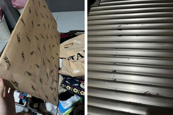 Choáng váng vì trò trả thù từ người yêu cũ của bạn trai-3