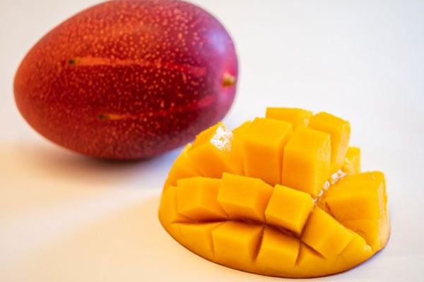 Vì sao xoài cát Hòa Lộc rớt giá còn 30.000 đồng/kg?-3