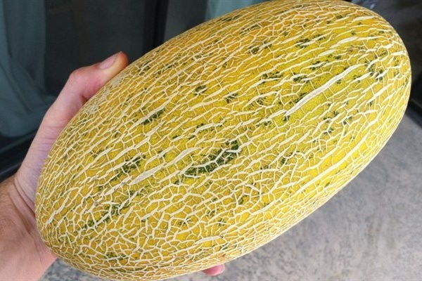 Khi mua cà chua tốt nhất nên chọn loại 6 lá”, lưu ý 2 điểm này sẽ không mua phải cà chua hóc môn-9