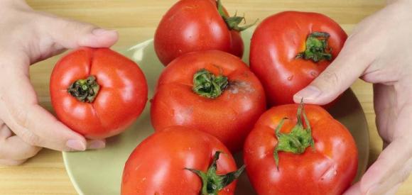 Khi mua cà chua tốt nhất nên chọn loại 6 lá”, lưu ý 2 điểm này sẽ không mua phải cà chua hóc môn-3