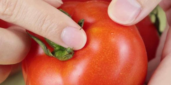 Khi mua cà chua tốt nhất nên chọn loại 6 lá”, lưu ý 2 điểm này sẽ không mua phải cà chua hóc môn-6