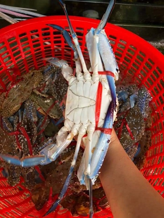 Ghẹ bông đỏ ngập chợ có giá rẻ bất ngờ”, chỉ từ 160 nghìn đồng/kg-1