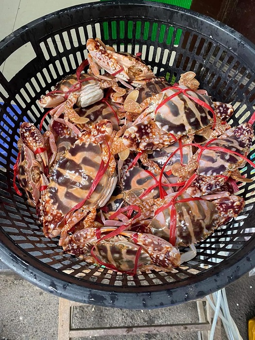 Ghẹ bông đỏ ngập chợ có giá rẻ bất ngờ”, chỉ từ 160 nghìn đồng/kg-2