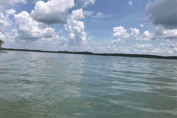 Vụ ô tô bốc cháy, 2 người chết ở TP.HCM: Nhân chứng tham gia cứu hộ tiết lộ hình ảnh xúc động-2