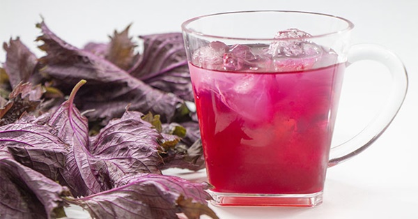 Nước lá tía tô tốt cho sức khỏe nhưng có 3 nhóm người càng dùng nhiều càng độc-4