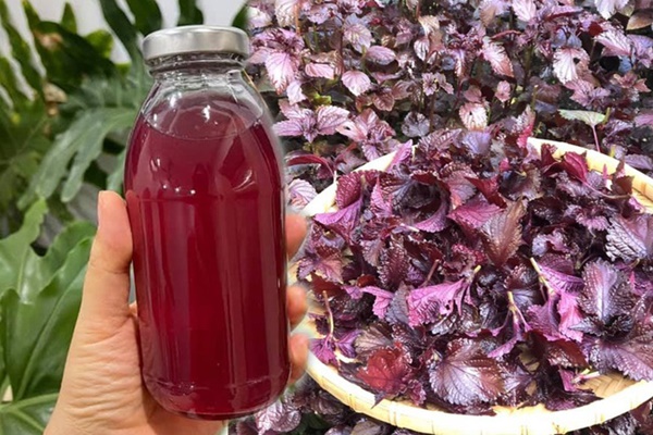 Nước tía tô uống ngày hè giúp hồi phục sinh lực, da mịn căng nhưng có 2 tác hại mọi người cần biết-4