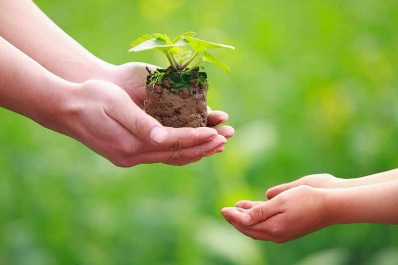 Giới siêu giàu dạy con cách để giàu có 3 đời: Tiền không phải là tất cả, có những thứ quan trọng hơn cả tiền, bố mẹ nào cũng nên biết-2
