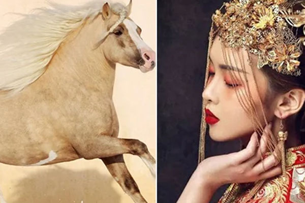 9 đặc điểm nhận dạng người có tướng giàu sang phú quý-2