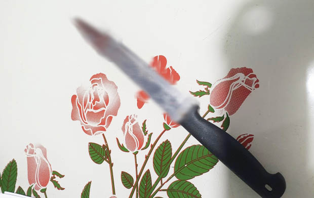 Mời nhậu không được, đâm tài xế tử vong-1