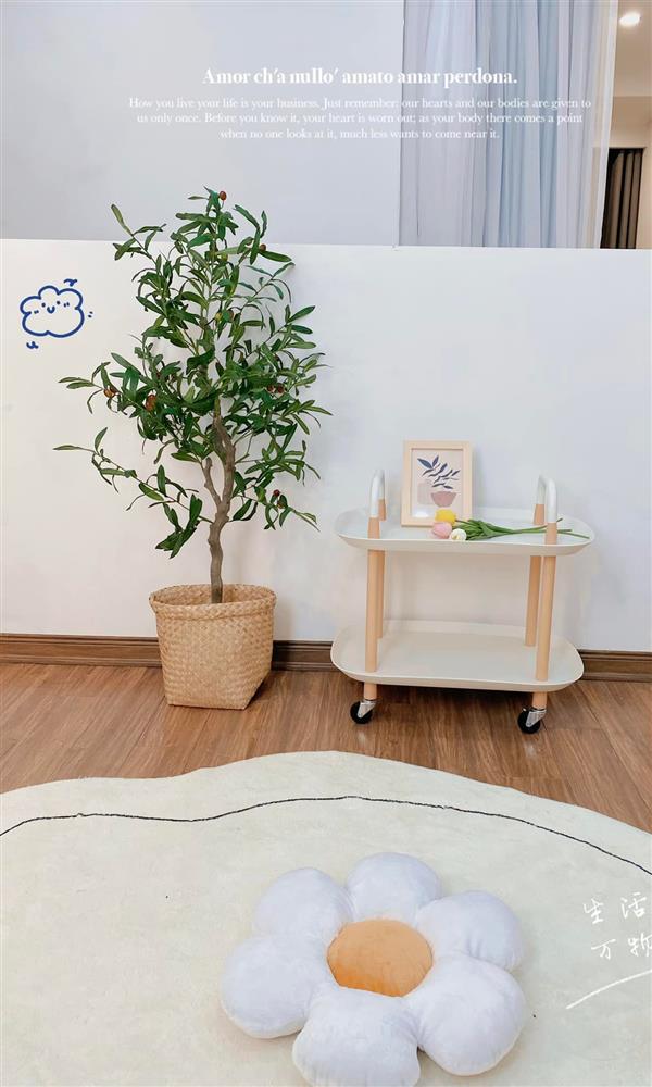 Quà tặng vợ ở cữ chất như nước cất của anh chồng trẻ: Tổ ấm xinh xẻo và đầy ắp yêu thương-18