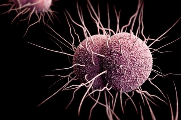 Nhiễm bệnh xã hội sau đêm mát xa và karaoke-1