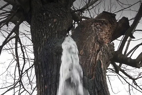 Công nương Kate mải mê bế em bé trong sự kiện, Hoàng tử William có động thái khiến mọi người thích thú-5