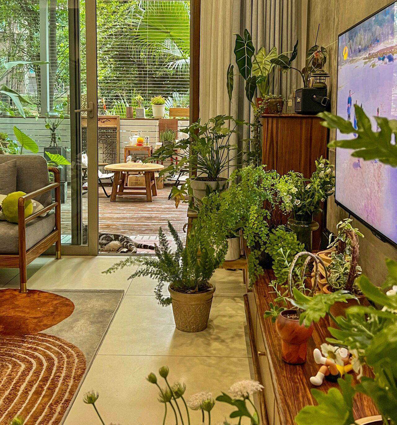 Cô nàng 9x sở hữu khu vườn cực chill sau 3 năm chăm sóc-1