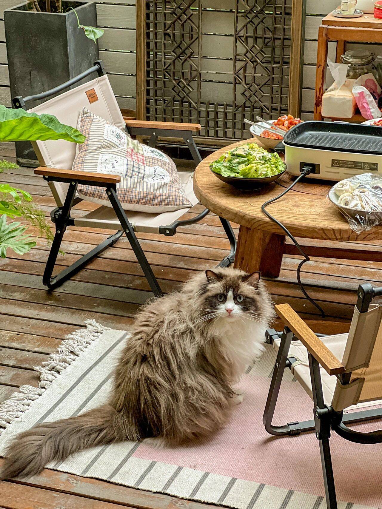 Cô nàng 9x sở hữu khu vườn cực chill sau 3 năm chăm sóc-12