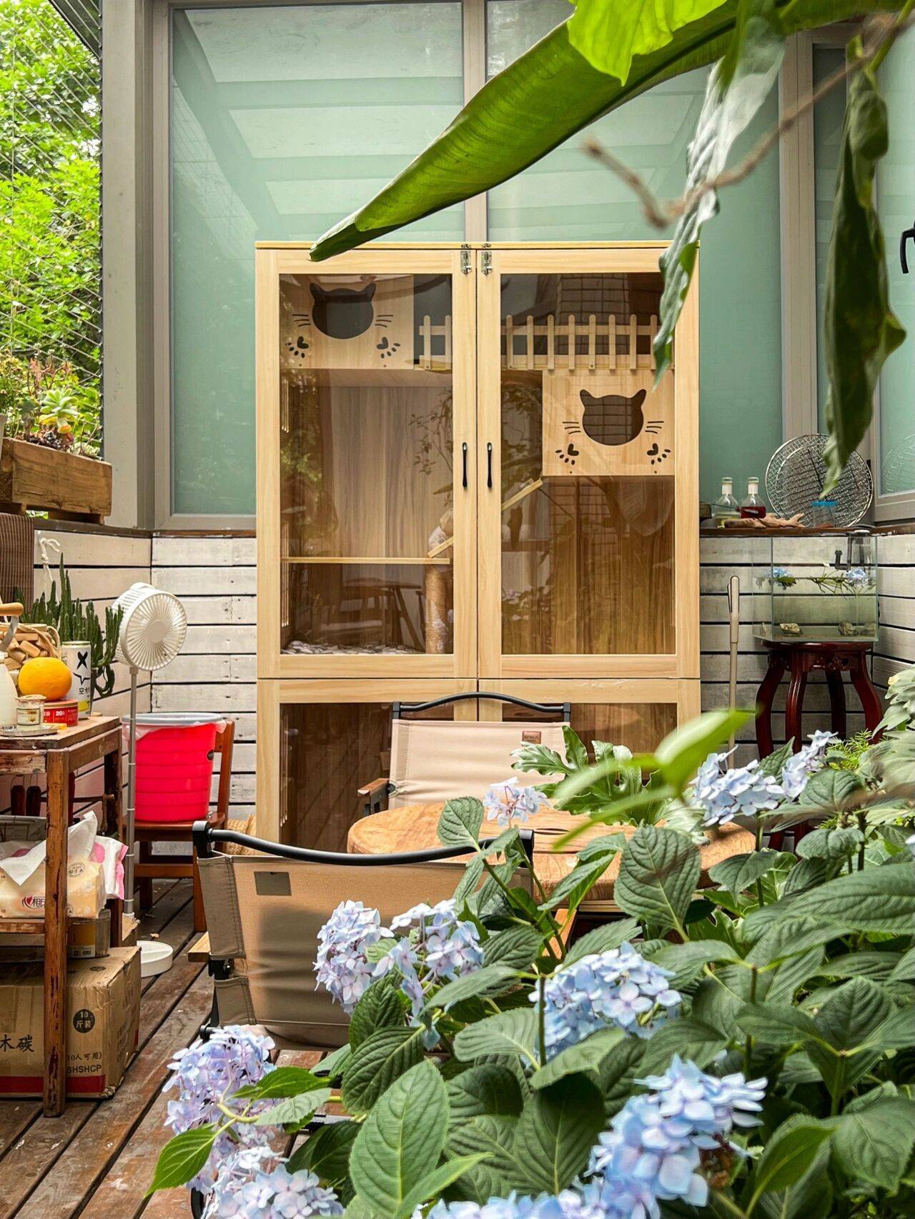 Cô nàng 9x sở hữu khu vườn cực chill sau 3 năm chăm sóc-11