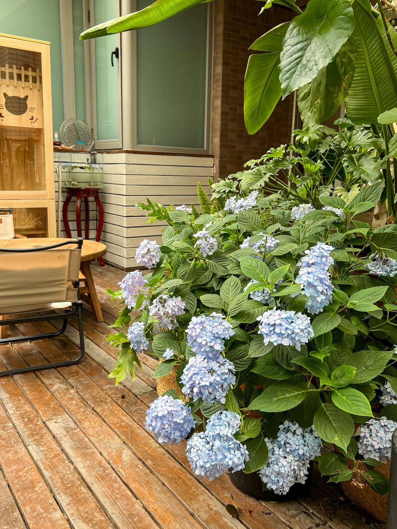 Cô nàng 9x sở hữu khu vườn cực chill sau 3 năm chăm sóc-18