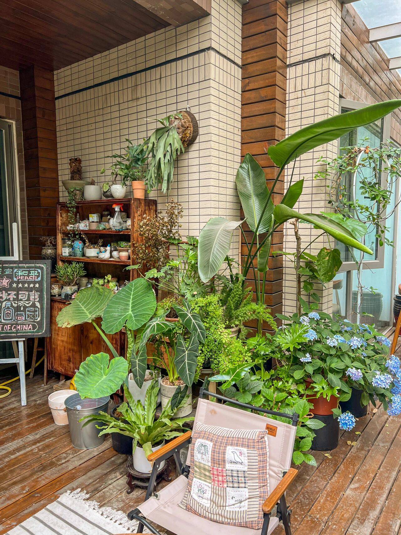 Cô nàng 9x sở hữu khu vườn cực chill sau 3 năm chăm sóc-16