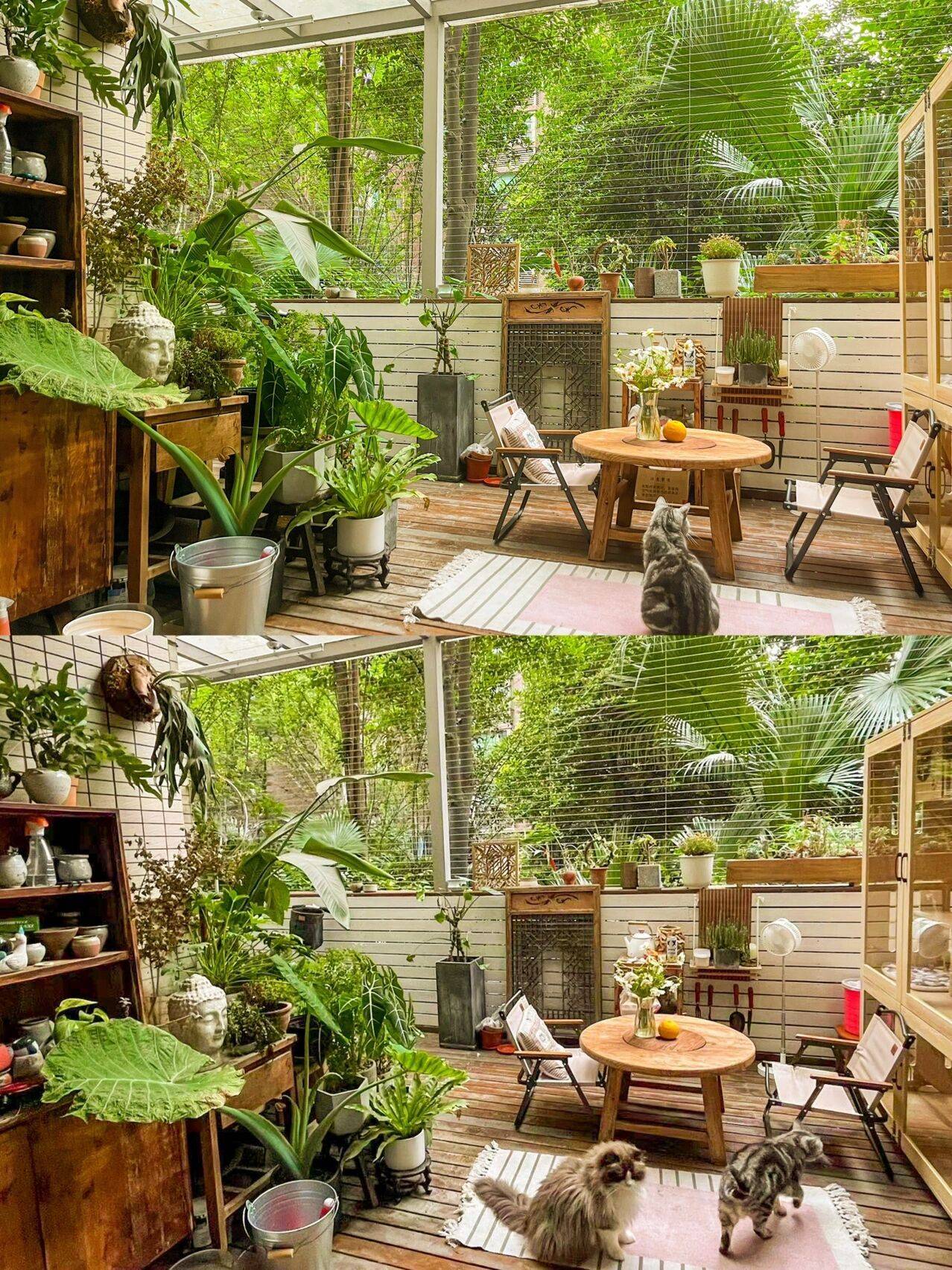 Cô nàng 9x sở hữu khu vườn cực chill sau 3 năm chăm sóc-2