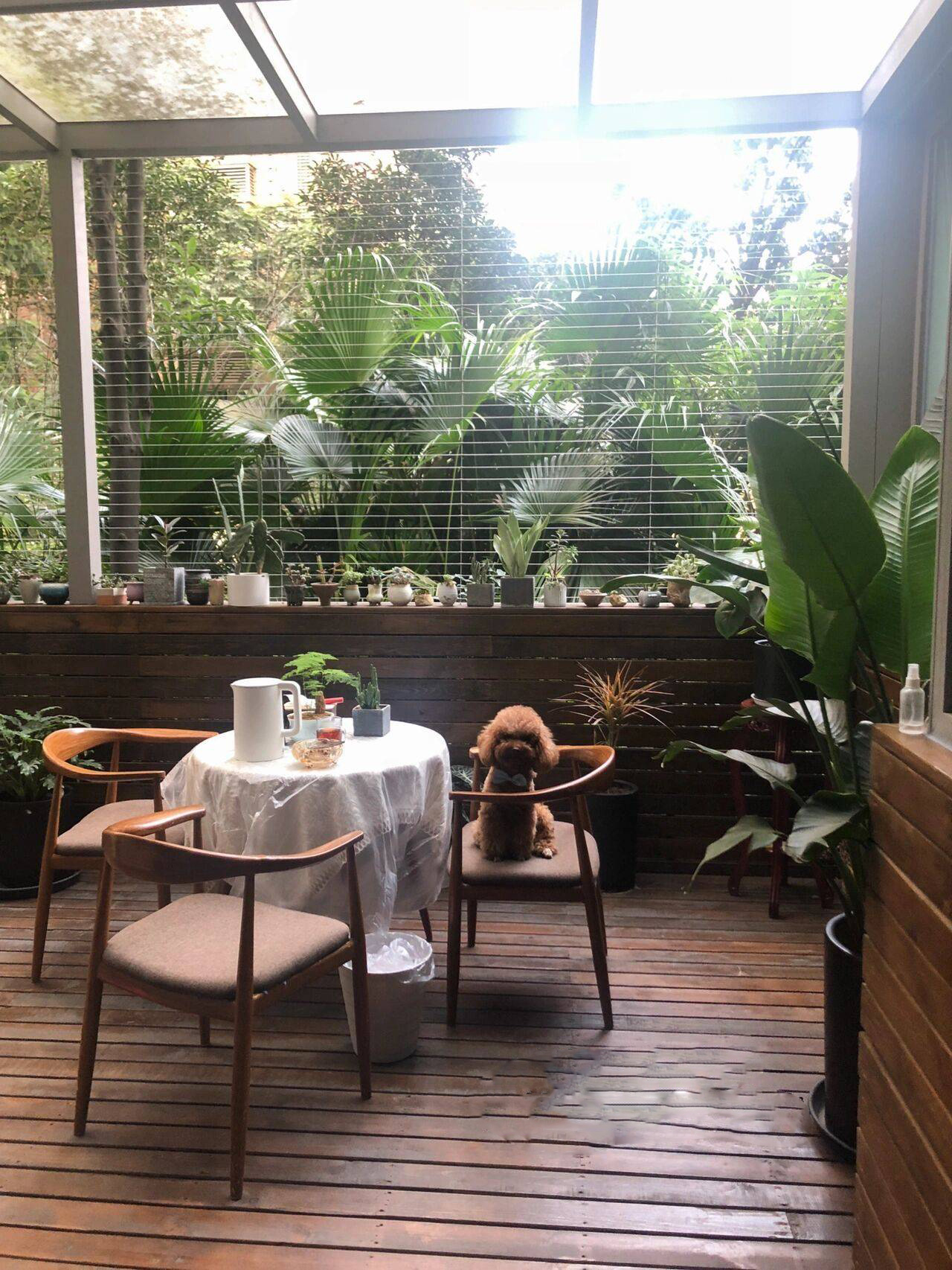 Cô nàng 9x sở hữu khu vườn cực chill sau 3 năm chăm sóc-8