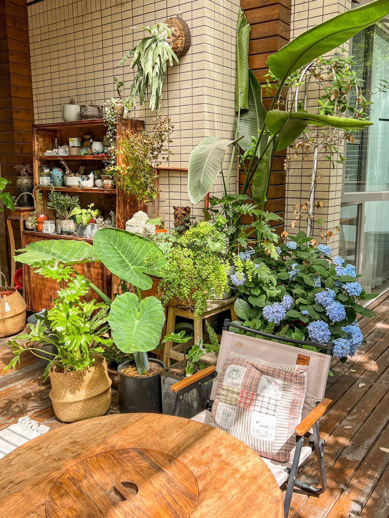 Cô nàng 9x sở hữu khu vườn cực chill sau 3 năm chăm sóc-13