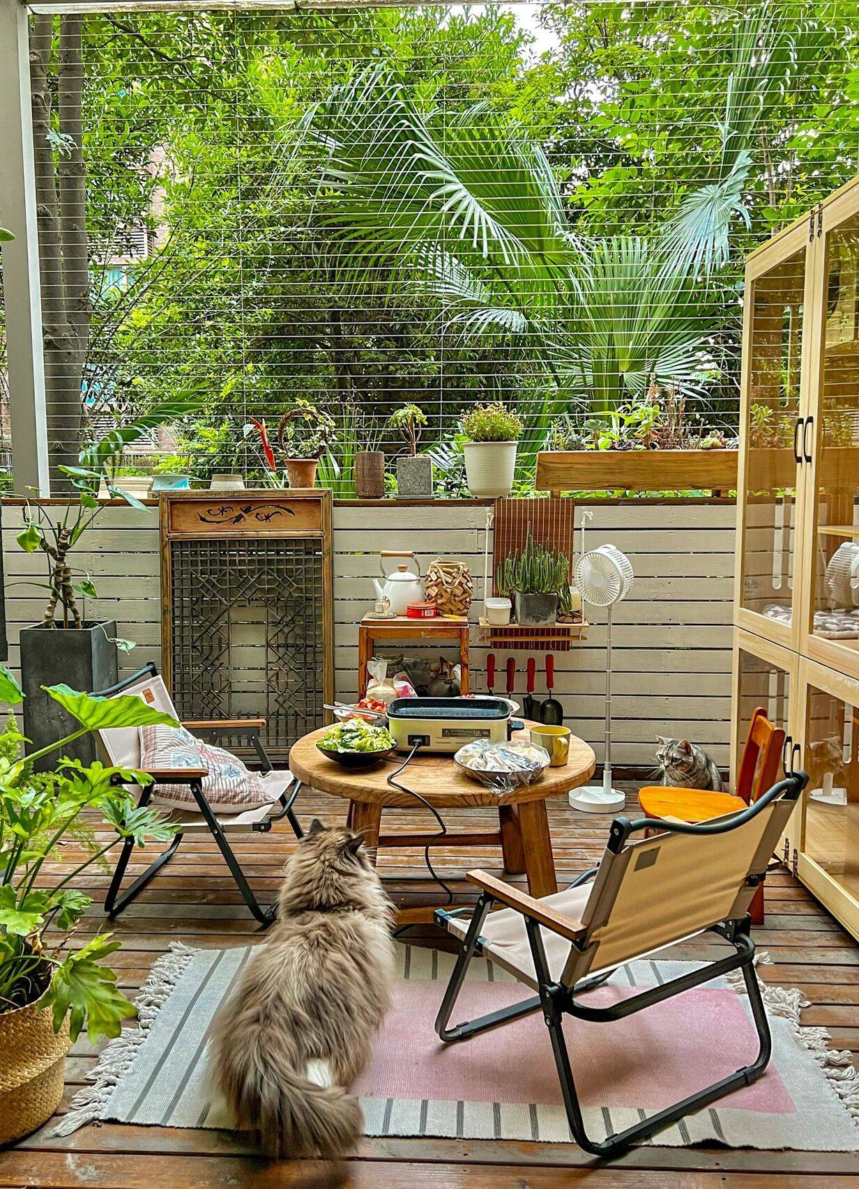 Cô nàng 9x sở hữu khu vườn cực chill sau 3 năm chăm sóc-3