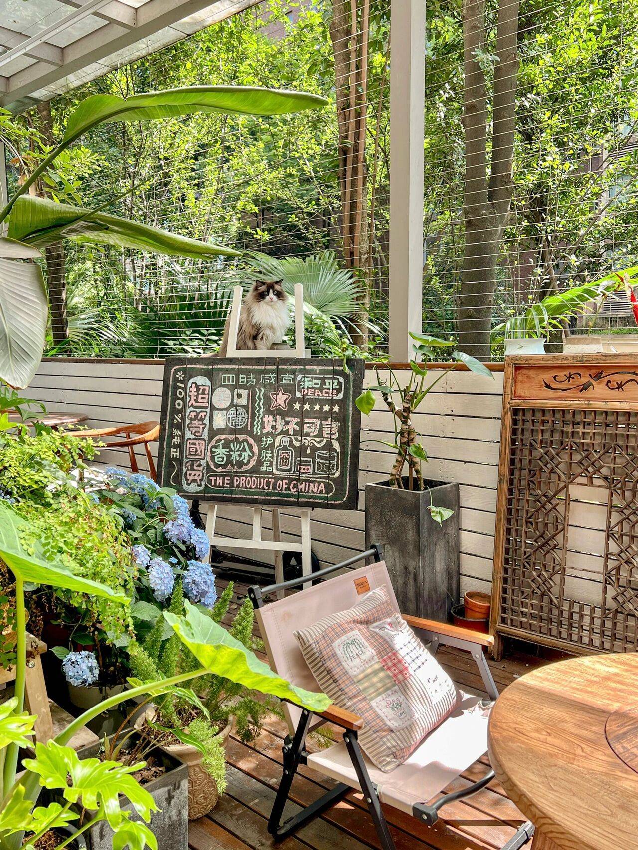 Cô nàng 9x sở hữu khu vườn cực chill sau 3 năm chăm sóc-5