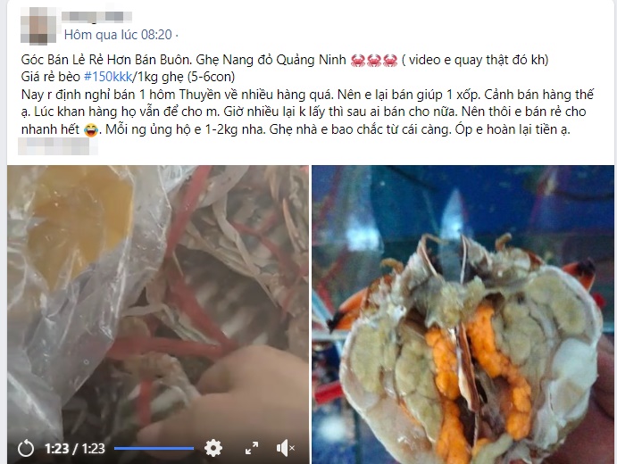 Ghẹ nang đỏ Quảng Ninh ngập chợ với giá chỉ từ 150 nghìn đồng/kg-1