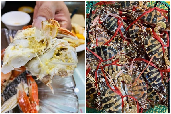 Đặc sản Quảng Ninh được ví như cua hoàng đế được bán với giá chỉ 19 nghìn đồng/con-5