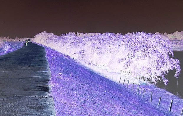 Cái chết oan nghiệt của cô thôn nữ xinh đẹp và hành trình bóc trần lớp mặt nạ của kẻ sát nhân máu lạnh-1