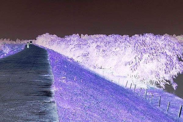 Thiếu niên thích chơi hàng nóng gây chấn động nước Đức-3