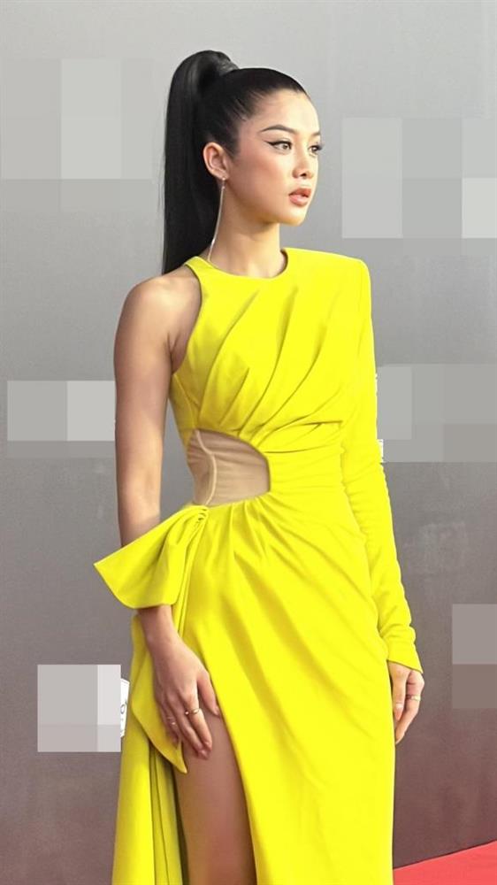 Thảm đỏ Chung kết Hoa hậu Hoàn vũ Việt Nam 2022: HHen Niê kín đáo vẫn đẹp tựa nữ thần, Lâm Khánh Chi phô bày vòng một nhức mắt-5