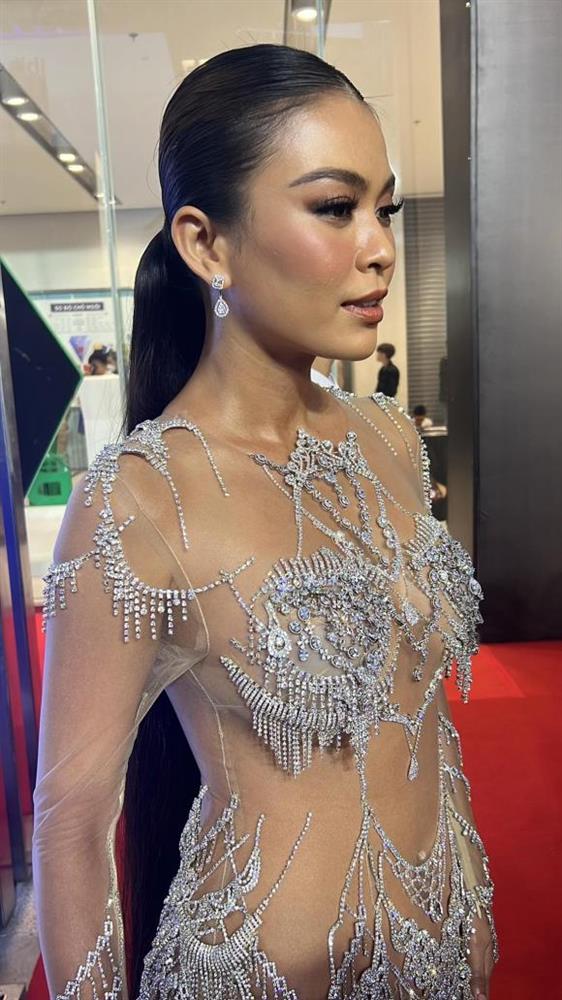 Thảm đỏ Chung kết Hoa hậu Hoàn vũ Việt Nam 2022: HHen Niê kín đáo vẫn đẹp tựa nữ thần, Lâm Khánh Chi phô bày vòng một nhức mắt-9