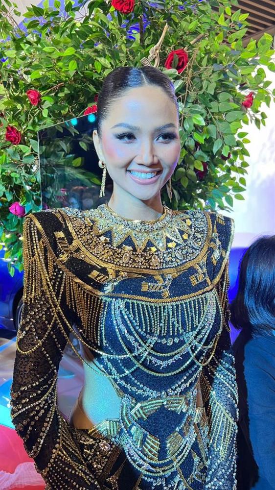 Thảm đỏ Chung kết Hoa hậu Hoàn vũ Việt Nam 2022: HHen Niê kín đáo vẫn đẹp tựa nữ thần, Lâm Khánh Chi phô bày vòng một nhức mắt-14