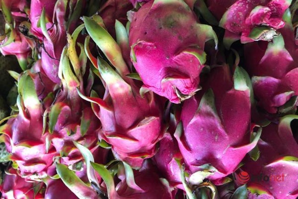 Hết thời giải cứu bán rẻ như cho, thanh long bất ngờ khan hàng, giá tăng vọt-3