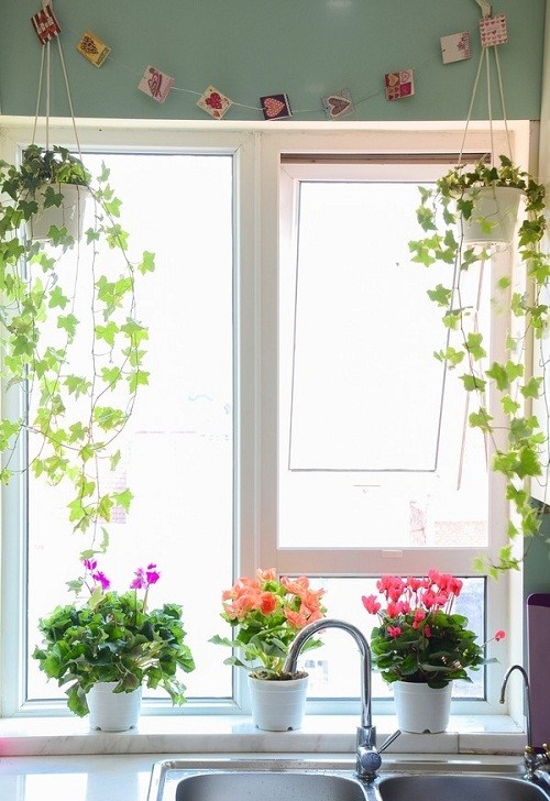 Dù dọn dẹp thường xuyên nhưng nhà vẫn đầy bụi? Áp dụng cách này cả tháng chẳng phải dọn mà vẫn sạch-3