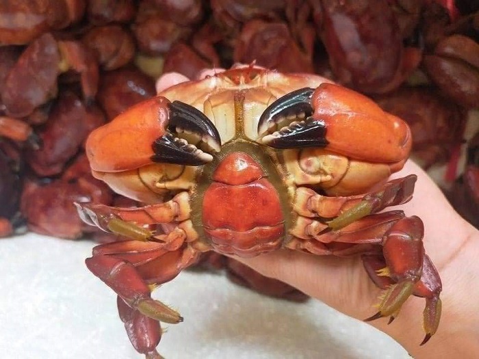 Đặc sản Quảng Ninh được ví như cua hoàng đế được bán với giá chỉ 19 nghìn đồng/con-2