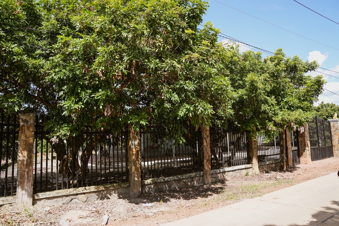 Về Tây Ninh nghe hàng xóm hóng chuyện Tân Hoa hậu: Trước HHen Niê ngồi máy cày, giờ Ngọc Châu đi xe bò diễu hành là vui nữa-5